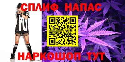 ECSTASY Новодвинск