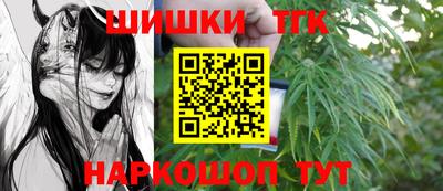 ECSTASY Новодвинск