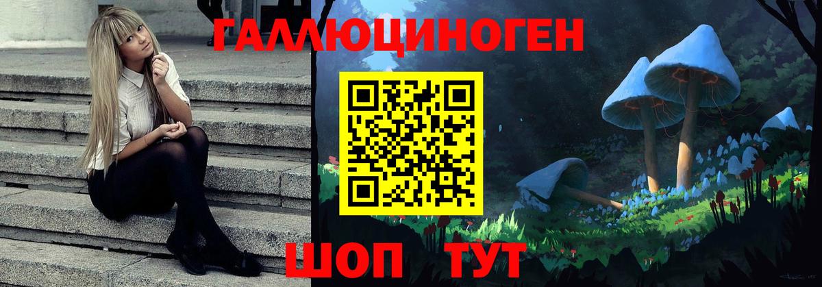 Псилоцибиновые грибы мухоморы  Вход с VPN  Псилоцибиновые грибы MAGIC MUSHROOMS  Тулун 